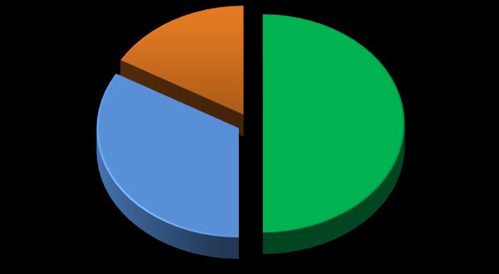 MEGÁLLAPÍTÁSOK Az ellenőrzött szervezet az intézkedési tervében foglaltakat az előírt határidőben végrehajtotta-e?