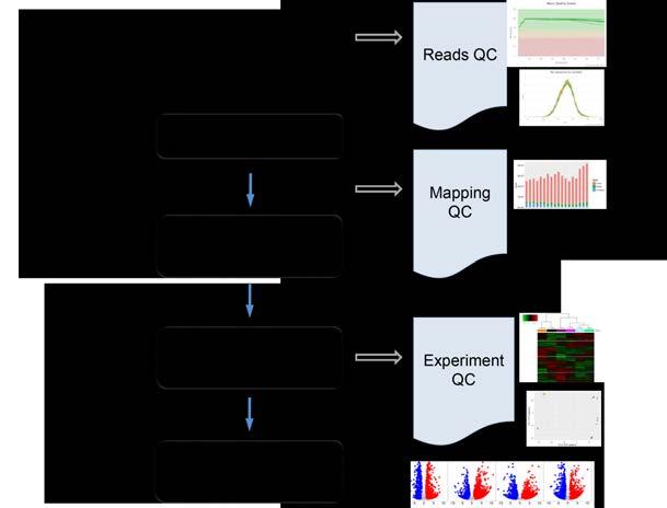 RNA-seq data