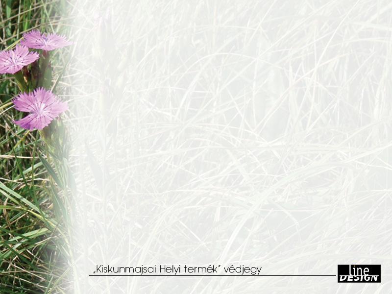 KISKUNMAJSAI HELYI TERMÉK VÉDJEGY ARCULATI TERVEZET