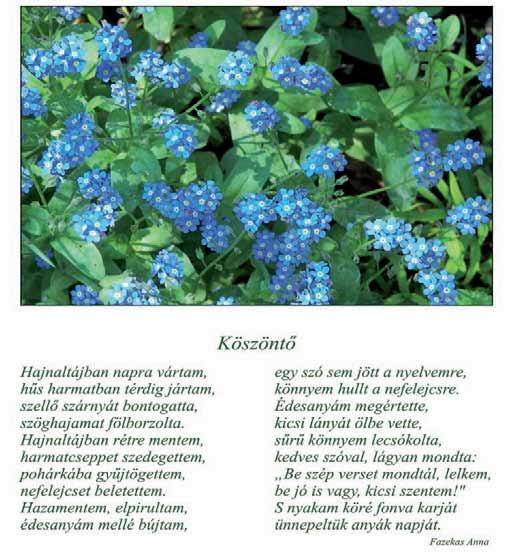 ANYÁK