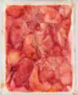 MIRELIT, FRISS BAROMFI,