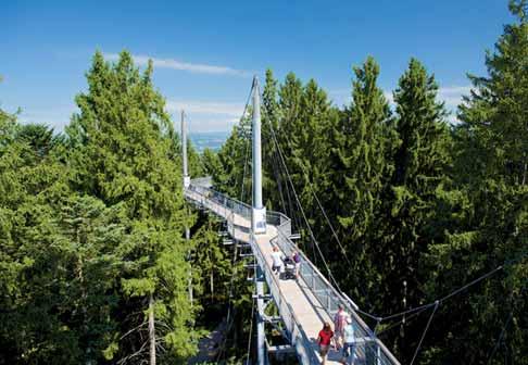Samstag, 23. März 2019 5 Mit leuchtenden Augen in die neue Saison Scheidegg. Der skywalk allgäu in Scheidegg eröffnete Anfang März die neue Saison. +++ Seit dem 02.03.