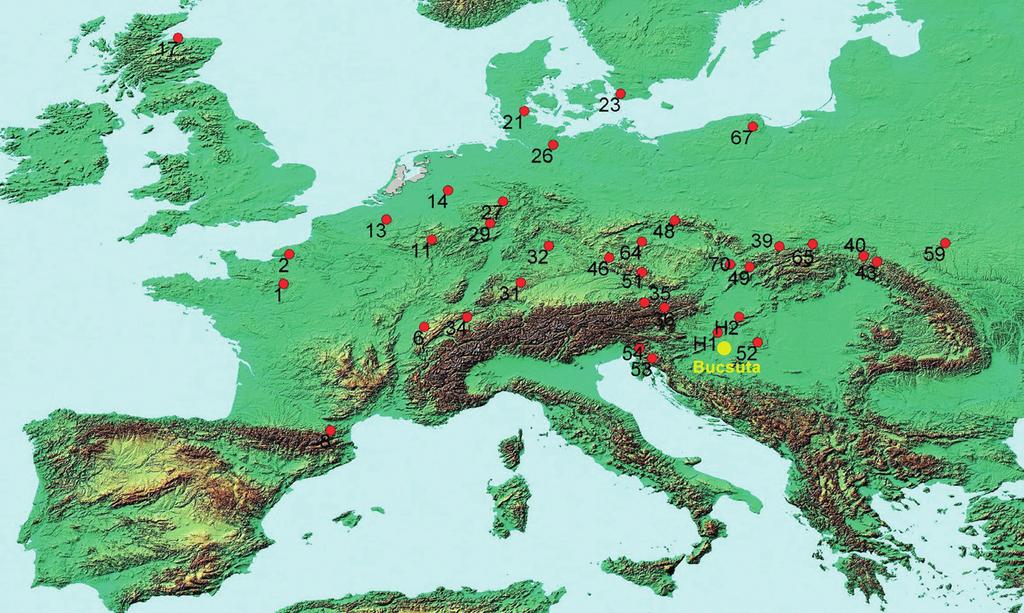 Az antioxidáns rendszer, mint a bükk (Fagus sylvatica L.) klimatikus alkalmazkodóképessége.