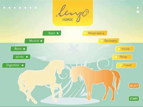 A készülék kezelési utasítása A készülék kezelőgombjai A LENYO Horse kezelőfelületének kialakításakor elsődleges szempontként az egyszerűséget és átláthatóságot vettük figyelembe.
