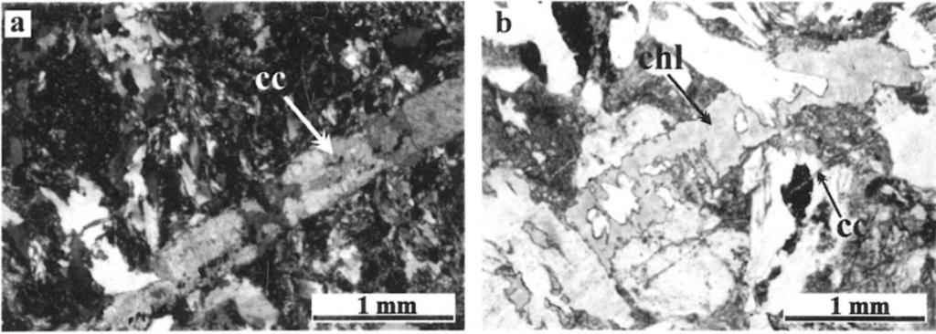 szervesanyagban gazdag, kisfokú metamorfózison átesett agyagkövek vagy aleurolitok, amelyek petrográfiai hasonlóság alapján valószínűleg idősebb karbon kontinentális képződményekből halmozódtak át (R.