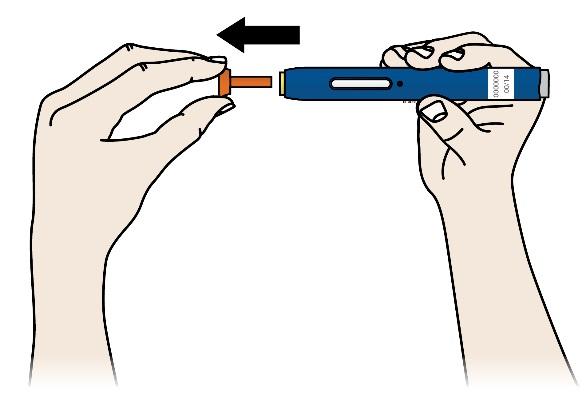 D Készítse elő és tisztítsa meg az injekció beadási helyét. Felkar Has Comb Beadhatja az injekciót: A combjába. A hasába, a köldöke körüli 5 cm-es területet kivéve.