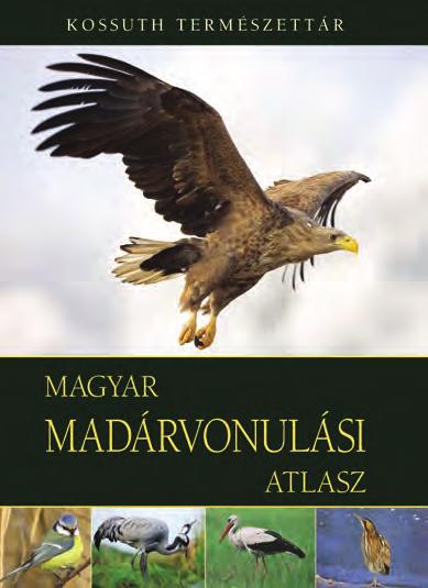 Föld egyik leglátványosabb, kontinenseket átívelő természeti jelensége a