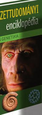 Emlősök 12. Az emberi test 1.