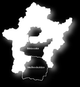 sorolható szolgáltatási foglalkozások (-40 fő), és az intézményi takarító és kisegítő (-20 fő) munkakörökből.