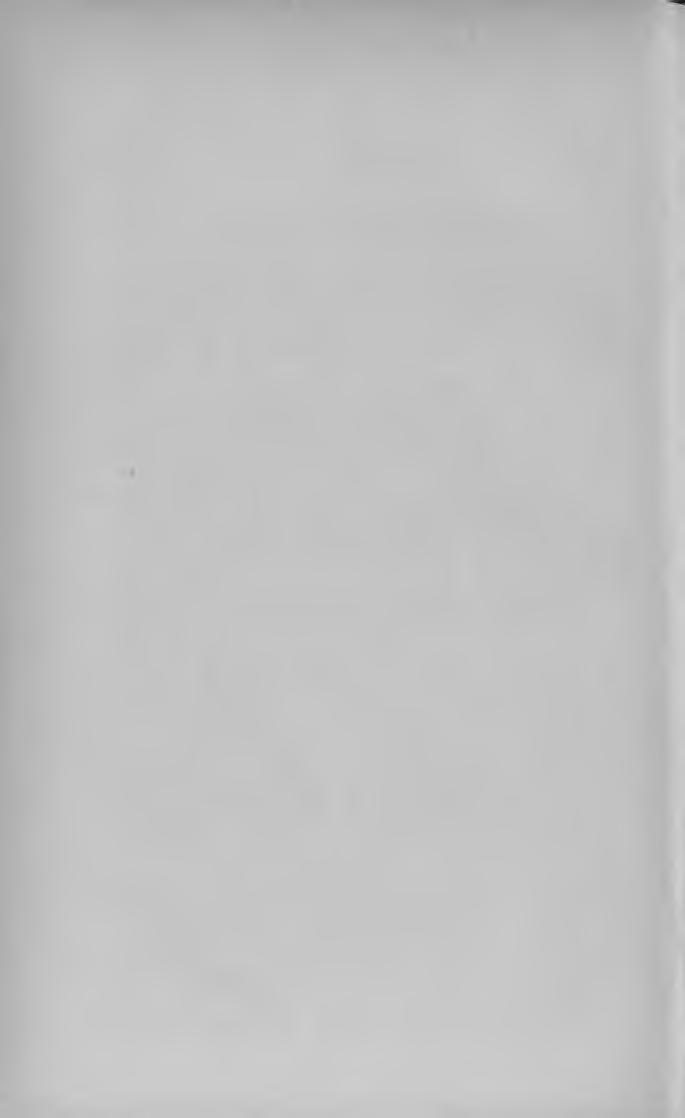 34 MAGYAR KÖNYVJEGYZÉK 1893. G yulai Pál. Apróbb gyermekmesék. Dalok és verses mesék. Számos ábrával. (8-r. 155 1.) Bpest, 1894 Eggenberger. Kötve G yu lay Béla. dr.