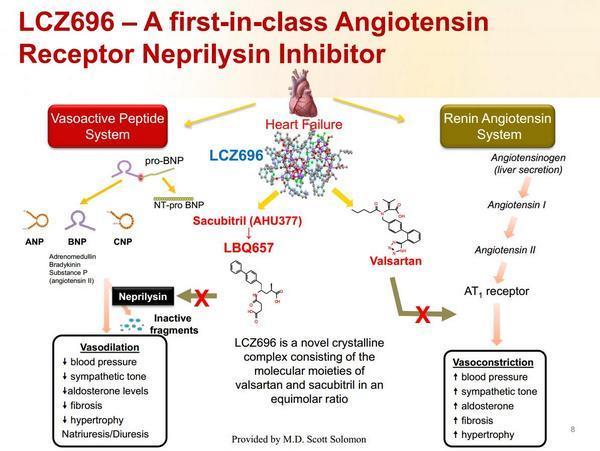 Angiotensin Receptor