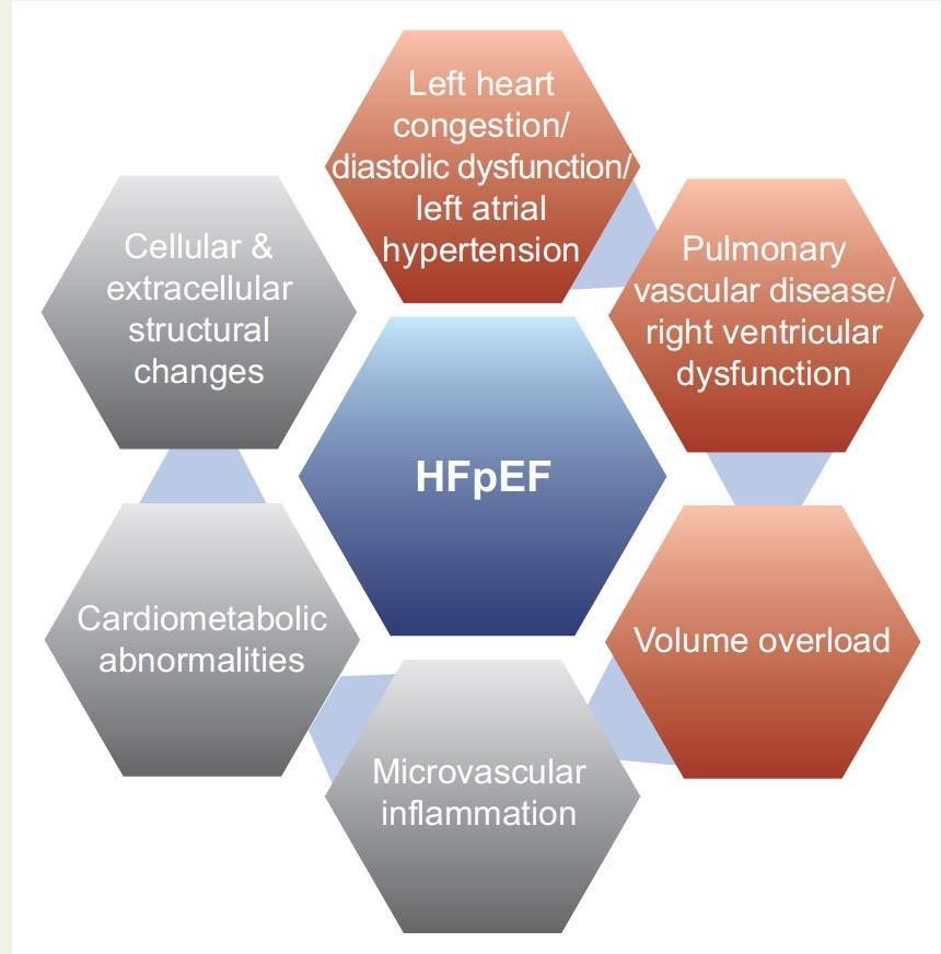 Heart failure with preserved