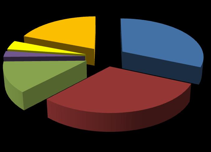 A sportágválasztás oka- lányok 3,80% 2,50% 19,00% 31,60% Szülők javaslata Barátok hatása 12,70% Testnevelő tanár javaslata Média hatása 30,40% Példakép hatása Egyéb 1.