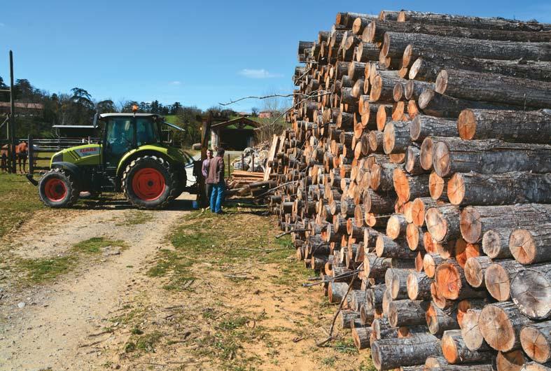 SZAKMAI FÓKUSZ AGRÁRERDÉSZET és a laza homoktalajokon ezzel párhuzamosan jelentkezõ homokverés miatt a mezõvédõ erdõsávoknak Magyarországon is nagy jelentõségük van.