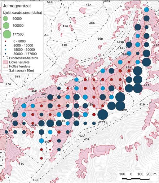 Padkát alkalmaztunk továbbá a tölgymakkvetéseknél, a sorok késõbbi könnyebb követhetõsége, az ápolás megkönnyítése végett.