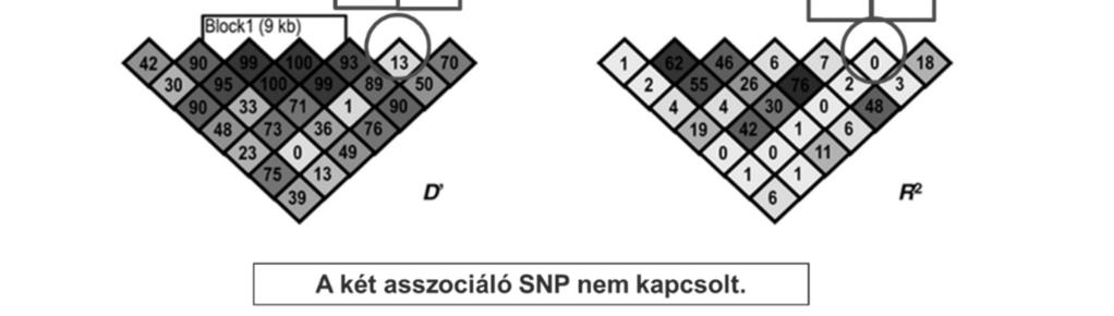 Felmerülhet a kérdés, hogy miért nem azokat az SNP-ket vizsgáljuk, melyeknek tudjuk, hogy van biológiai hatása. A válasz egyszerű: a legtöbb SNP-nek nem ismert a molekuláris hatása.