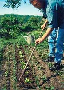 Mezőgazdas gazdasági gi használat Egy bizoyos földterület let mezőgazdas gazdasági gi haszálat latánál fontos tudni, hogy milyen -az emberi egészs szségre károsk ros- vegyi anyagok lehetnek a
