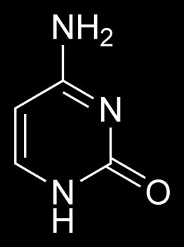 citozin