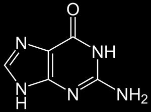 guanin