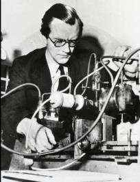 DS-kvadruplex