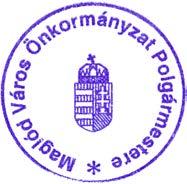 1. Maglód Város Önkormányzat 219. évi költségvetése 219. február 14.