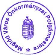 1. Maglód Város Önkormányzat 219. évi költségvetése 219. február 14.