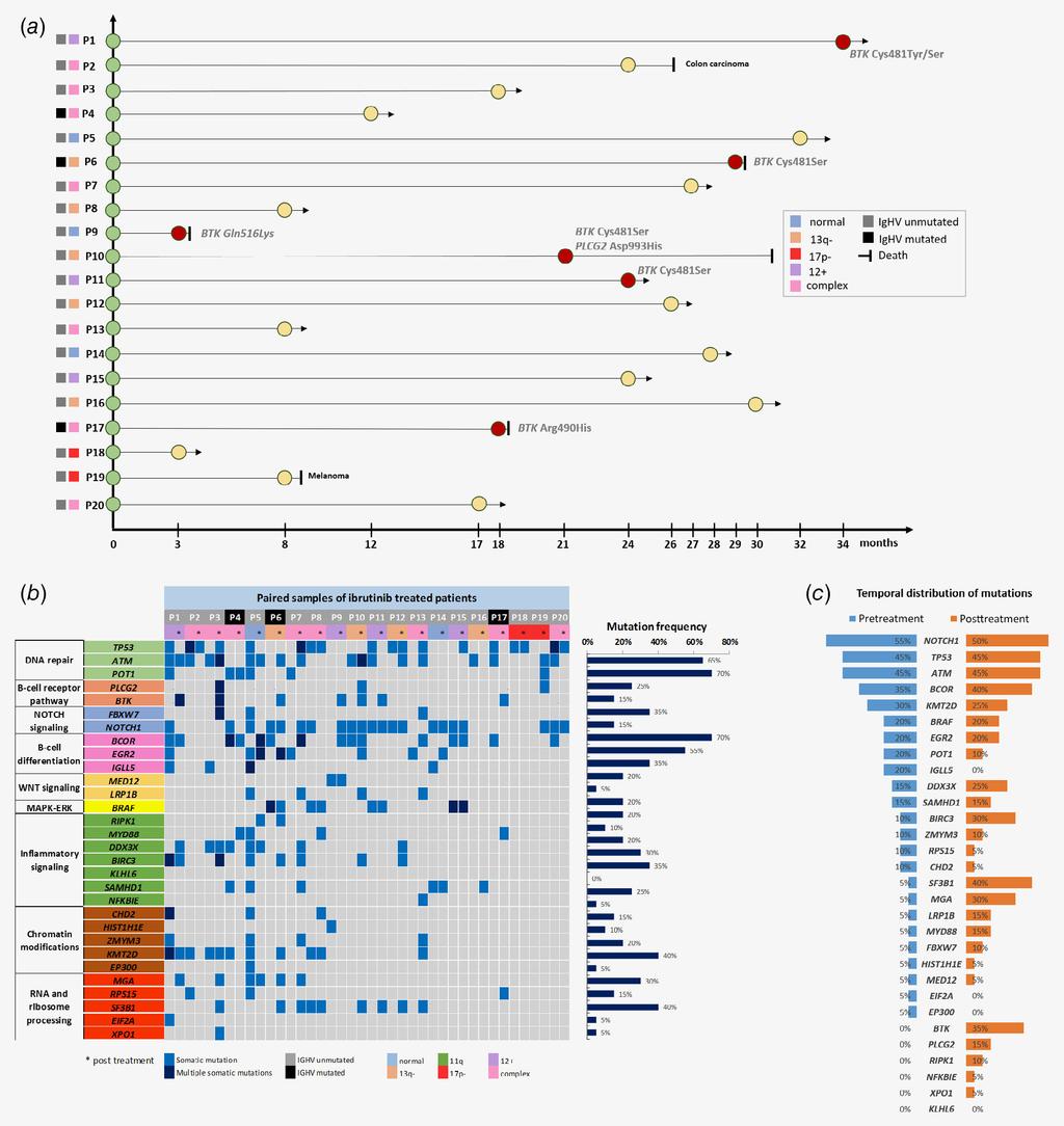 Gángó et al. 3 Figure 1. (a) Timeline and basic cytogenetic features of the 20 patients treated with ibrutinib.