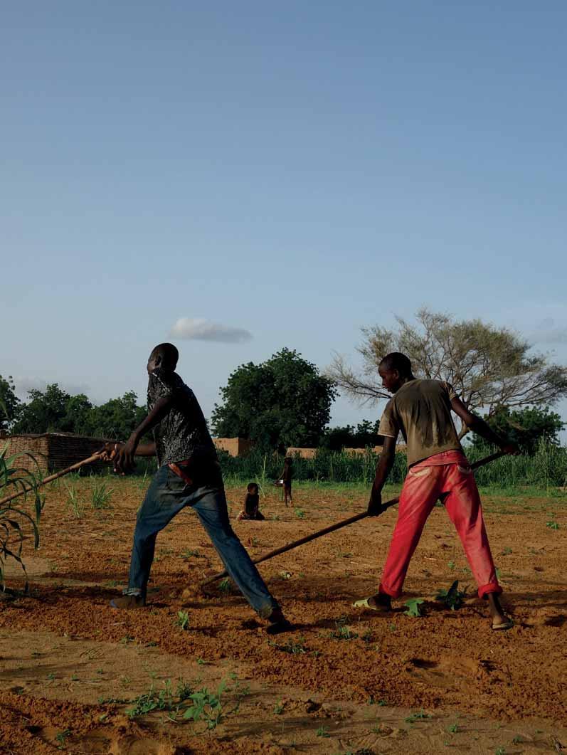 RAPPORT ANNUEL 2017 24 25 NOS ACTIONS À