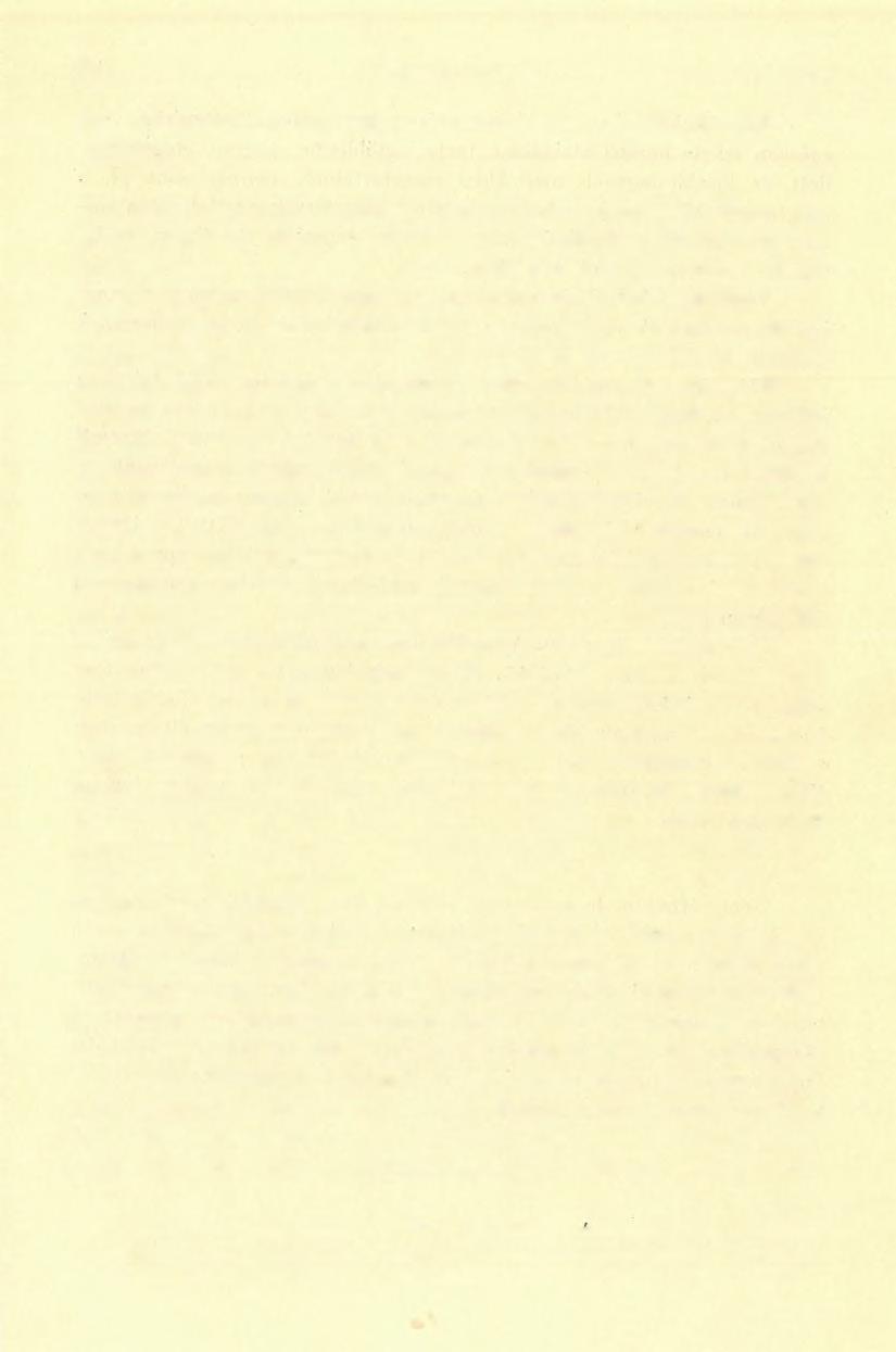 <») FÖLVÉTELI JELENTÉS. 195 jött föl víz; rövid idő múlva a cső azonban mindig bedugult homokkal.* Talajviszonyok.