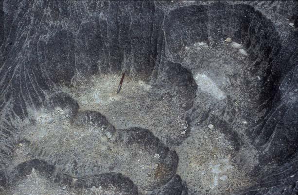 kép), és a kürtők (IV. táblázat). A Bemarahai-tsingy fentebb felsorolt másodlagos karrformái lényegesen nagyobbak lehetnek az Ankaranai-tsingy karrformáinál.