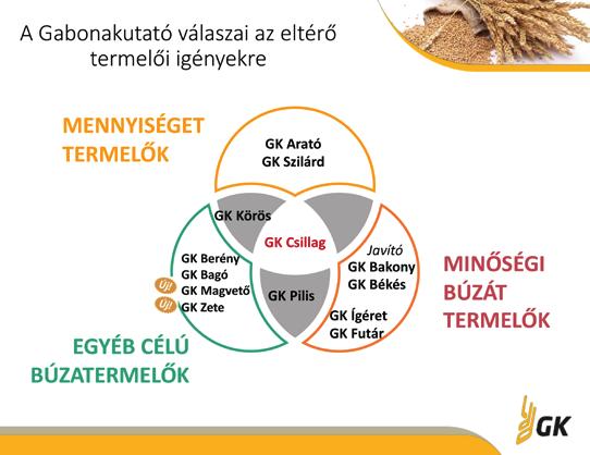 SZAKMAI NAP A JÖVŐ A MINŐSÉGBÚZÁKÉ LESZ MALMOSOK, NEMESÍTŐK ÉS BÚZA TERMESZTŐK SZAKMAI NAPJA 2019. április 4-én a Júlia Malom Kft.