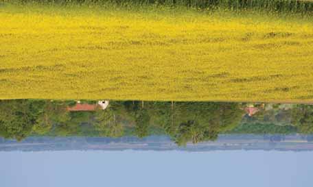 7 PARTNEROLDAL AGRO bio Hungary Vagyonok hevernek a tarlón Csak le kell hajolni érte.