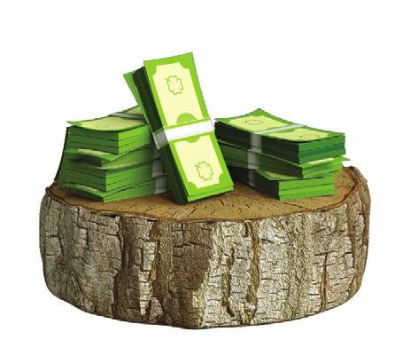 malacod! július 5-13. A hónap legszerencsésebb időszaka, összesen több mint 65 millió forint pénznyereménnyel! Játssz lottózóban, interneten vagy okoslottón! Részletek a lottózókban és a www.