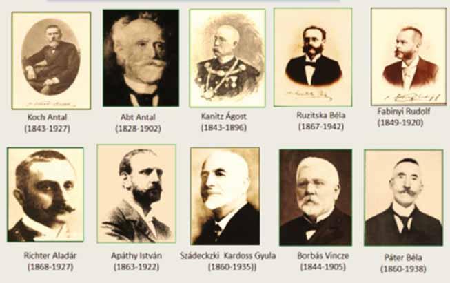 2 GYÓGYSZERÉSZET 2019. április 2.