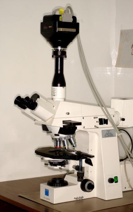 Immunfluoreszcencia Egy atom vagy molekula külső sugárzás hatására átmenetileg