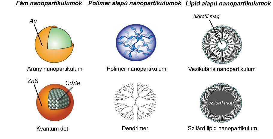 1. BEVEZETÉS A vér-agy gát jelentősen korlátozza a gyógyszerek bejutását az idegszövetbe ezért a központi idegrendszer betegségeinek, mint az agyvérzés, agytumorok vagy neurodegeneratív betegségek