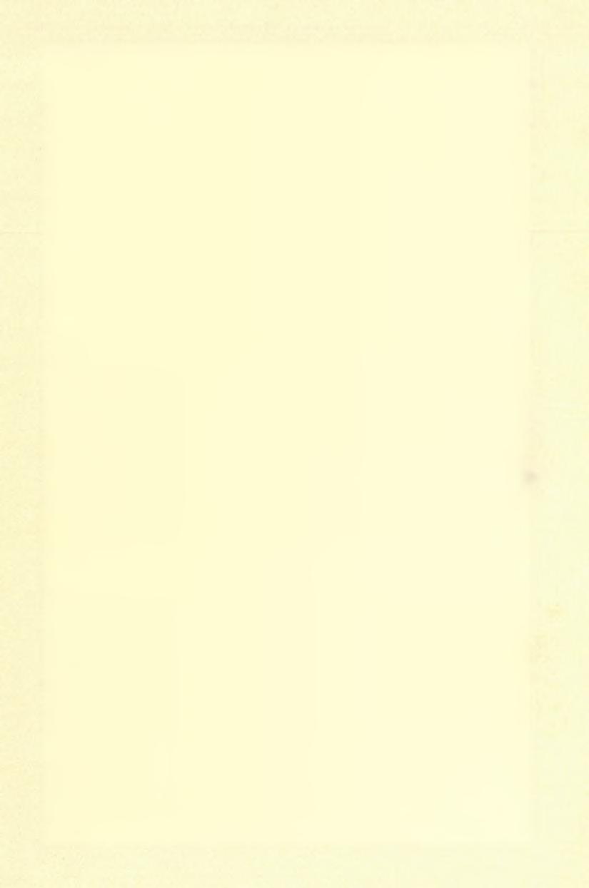 Felső