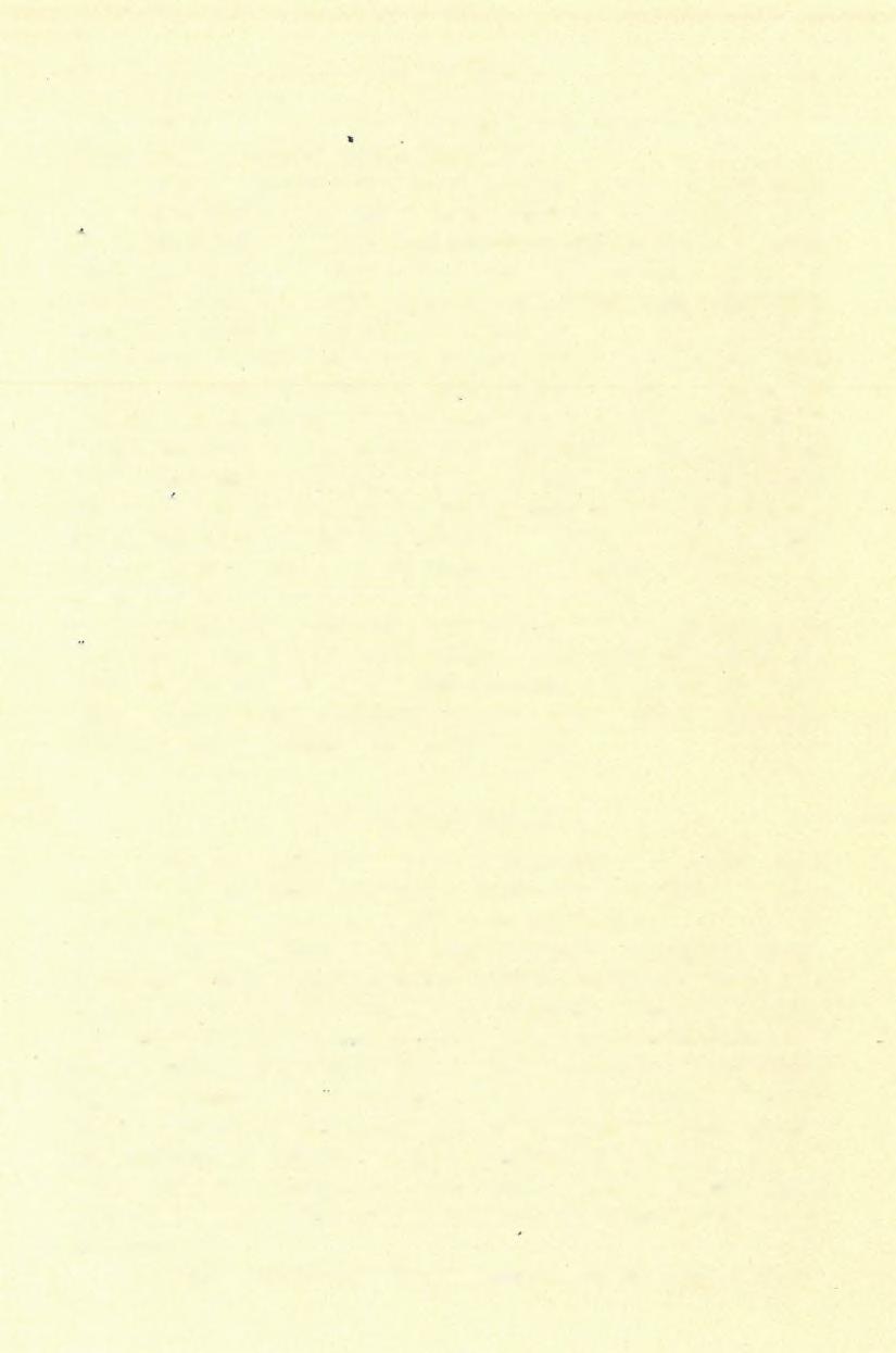 ( 4 ) FELVÉTELI JELENTÉS. 157 csapoltatása egy csatorna ásása által az 1819-töl fogva 1826-ig H ebczeg Pálffy József nagy költségével végbevitetett.