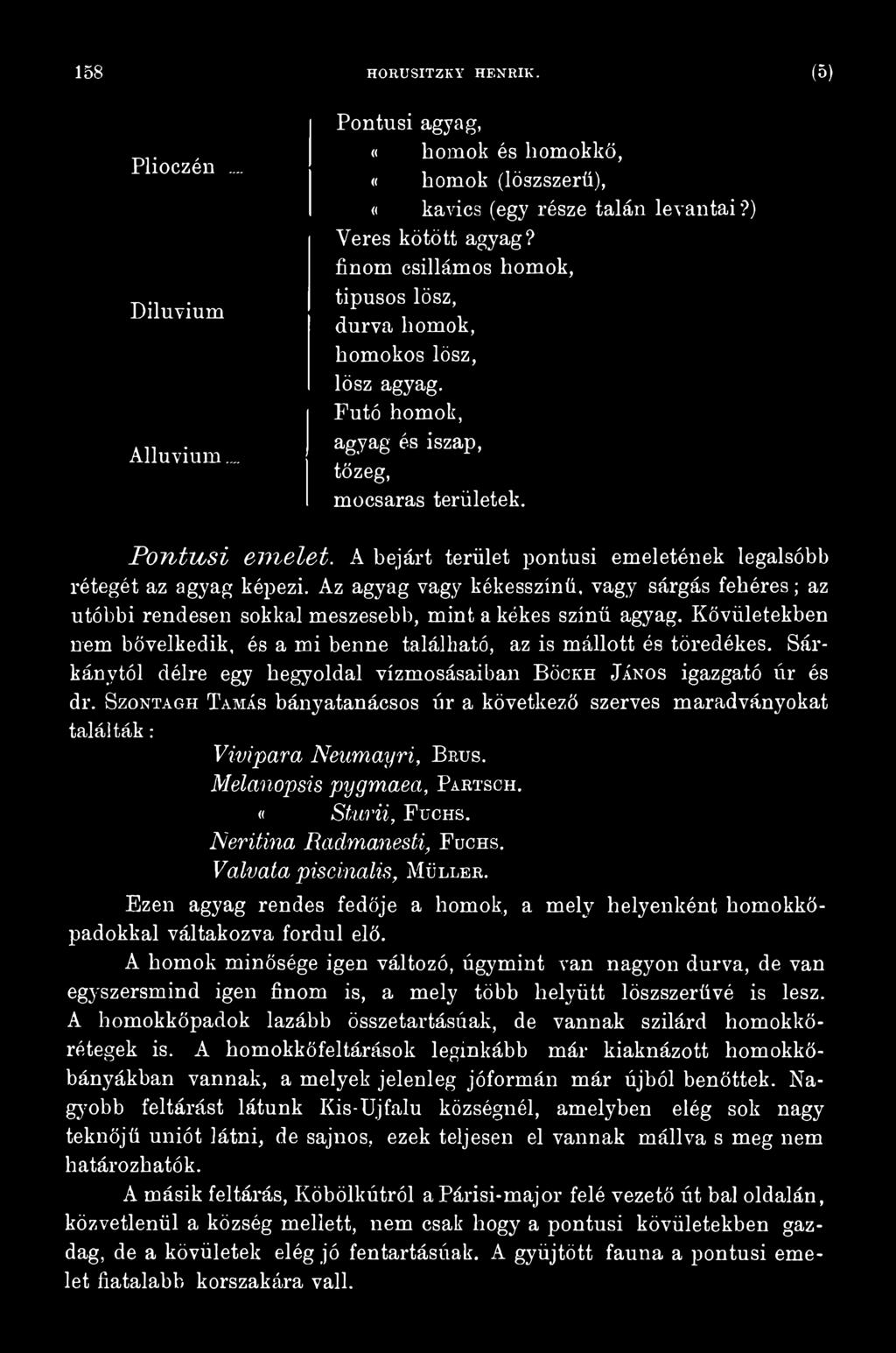 Szontagh Tamás bányatanácsos úr a következő szerves maradványokat találták: Vivipara Neumayri, B rus. Melanopsis pygmaea, Partsch. «Sturii, F uchs. Neritina Radmanesti, F uchs.