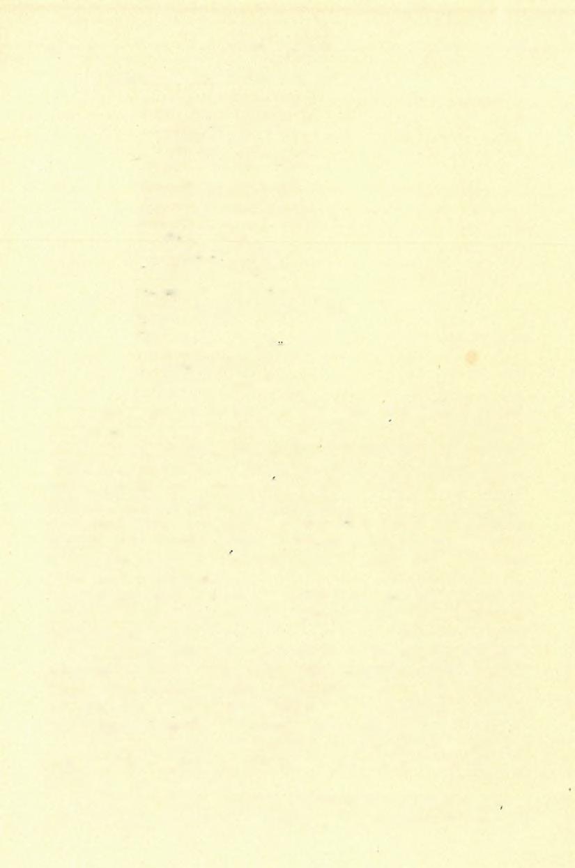 (6) FELVÉTELI JELENTÉS. 1 5 9 A feltárásban a következő kövületeket találtam: Unió Wetzleri, Dunk. atavm cfr., Partsch. Neumayri, Pen. Congeria cfr. slavonica, Brus. Pisidium priscum, Eichw.