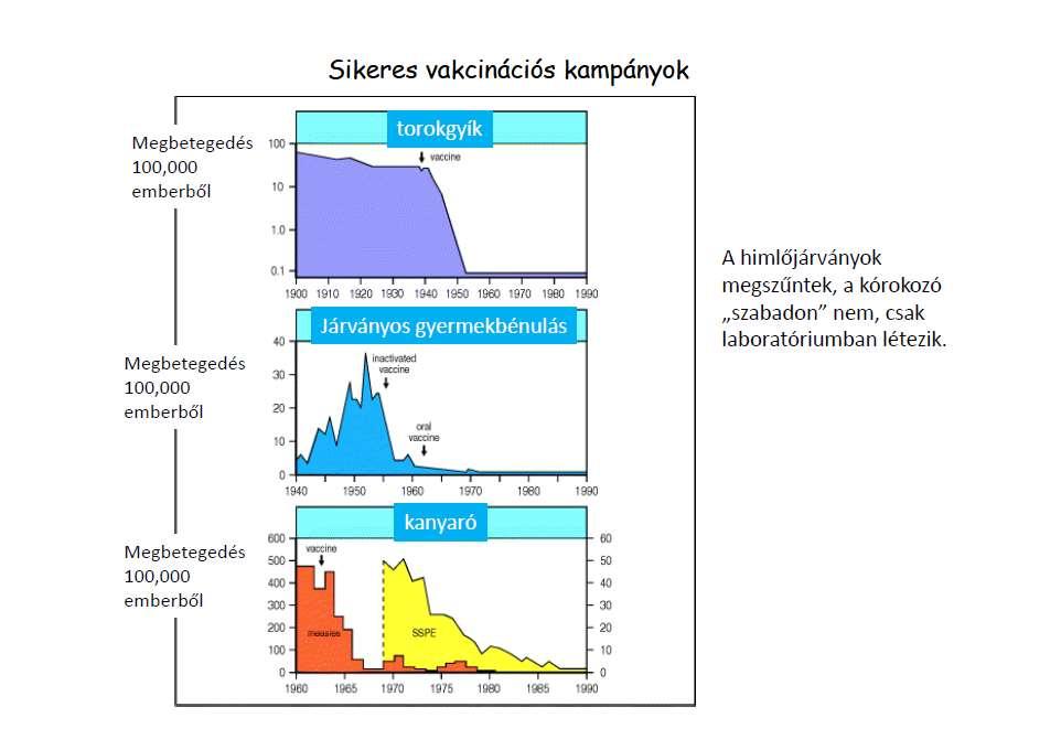 Sikeres vakcinációs