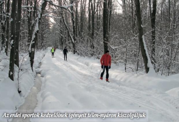 Erdei sportok A Soproni Parkerdő legújabb, máig tartó föllendülése 1998-ban a közjóléti fejlesztési tervének kidolgozásával kezdődött, melynek eredményeként nagyszabású beruházási program indult.