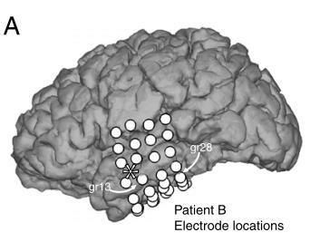 Neuronok