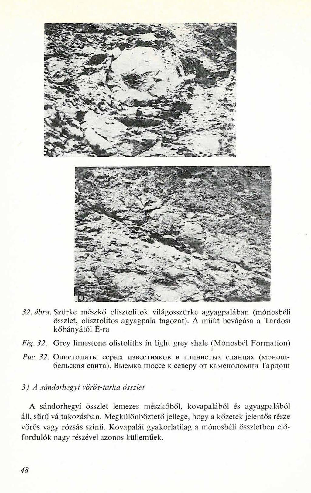 32. ábra. Szürke mészkő olisztolitok világosszürke agyagpalában (mónosbéli összlet, olisztolitos agyagpala tagozat). A műút bevágása a Tardosi kőbányától É-ra Fig. 32.