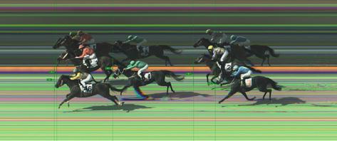 5 Paizs Gábor 43.5 13.8 114 IV. (5) Rising Rose 59.0 Jozef Parigál 36 5.9 78 V. (1) Flawless Flower 63.0 Tamás Csaba am. 41.5 13.8 112 6. Rubikon 49.5 Bóna Nikoletta am. 27 5.4 103 7.
