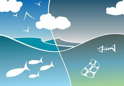 Az irányelvek után az EU körforgásos gazdasági Akciótervének a végrehajtása Hangsúlyt kap a környezetre hatást gyakorló műanyag-felhasználás kérdése Európai Műanyag Stratégia Közlemény a vegyi