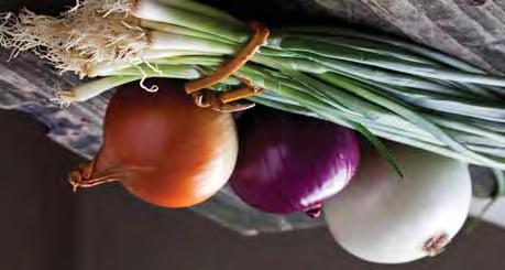 17 Egészséges zöldségek, pompás dísznövények Kertészeti kultúrákban használható gombaölő szerből számos fajta közül válogathat a termelő.
