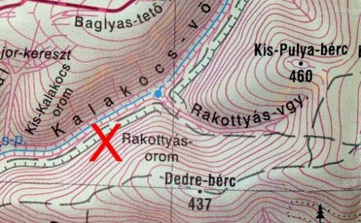 3. FELADAT (15 PONT) A BIOLÓGUS SÉTÁJA A kapott tálcán nyolc élőlényt vagy élőlénydarabot talál.