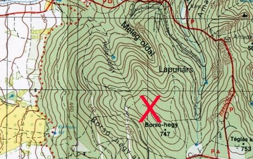 A feladat megoldásához használhatja a kapott Növényismeret könyvet, de figyeljen rá, hogy a többi feladatra is