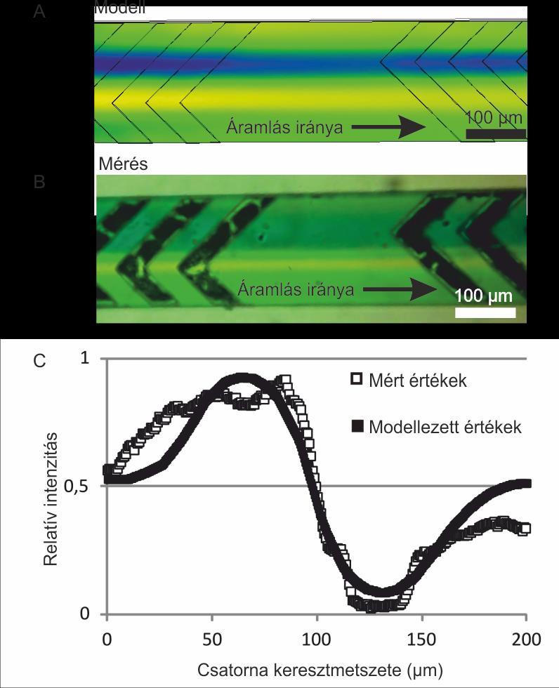 4.8. ábra A modell (A) és a mérés (B) eredményeinek összehasonlítása. A relatív pixelintenzitásokat felvéve és összevetve (C) látszik a jó egyezés, a mérési hibát figyelembe véve.